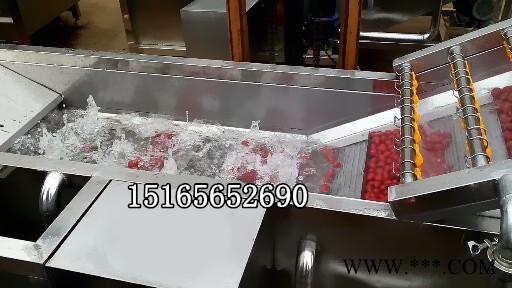 全自动山药气泡清洗机 胡萝卜去泥去污清洗机图4