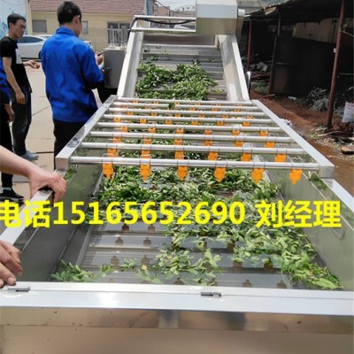 全自动山药气泡清洗机 胡萝卜去泥去污清洗机