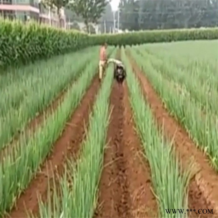 百合培土机 魔芋培土机 太子参培土机开沟机图3