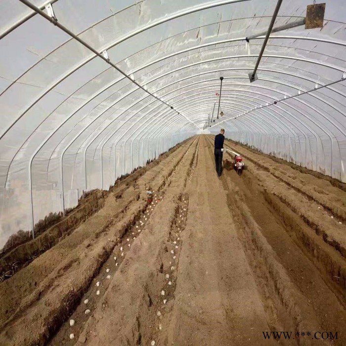 百合培土机 魔芋培土机 太子参培土机开沟机图2