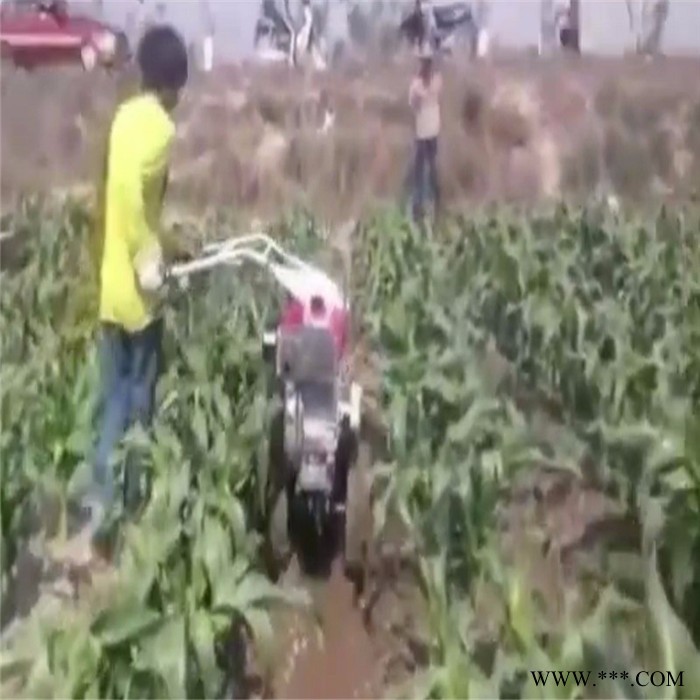 百合培土机 魔芋培土机 太子参培土机开沟机图8