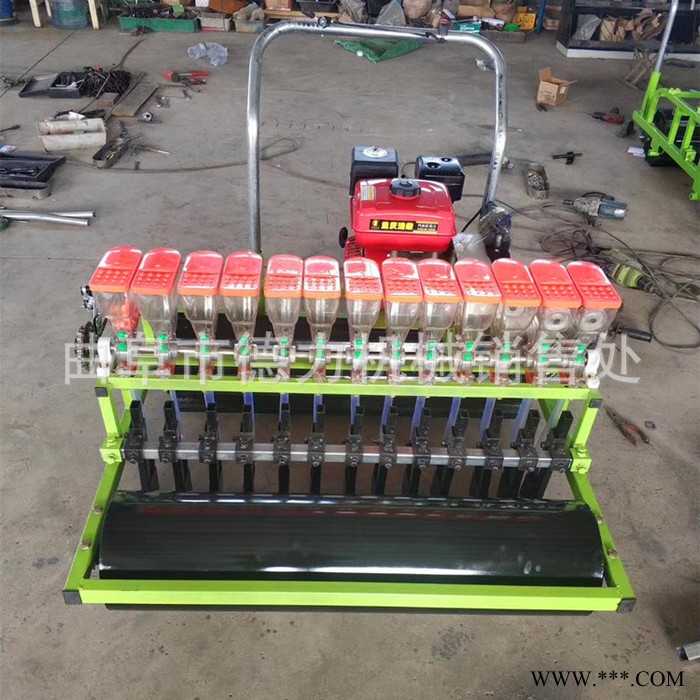 德力电动蔬菜播种机 柴胡白术播种机 4行芹菜精播机图7