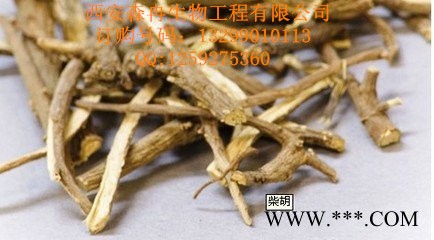 森冉现货柴胡提取物  **植物提取图3