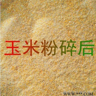 麦冬加工粉碎机 木薯饲料粉碎机 专业齿盘式粉碎机用途广