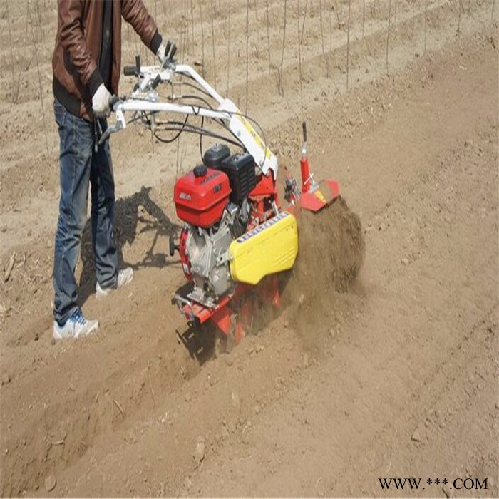 种植山药挖沟机 种植山药挖沟机 大棚旋耕机图3