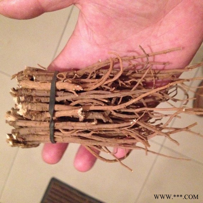 【龙飞种业】中药材种子/31号黄柴胡种子/川岛柴胡种子/柴胡种子价格/柴胡种子报价/柴胡种子批发/高产柴胡种子图4