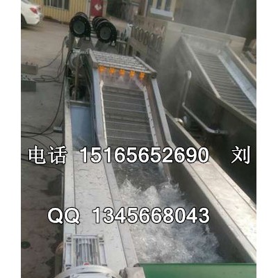 大黄清洗设备大黄清洗机   中药清洗机，佳品供应各种型号食品清洗机