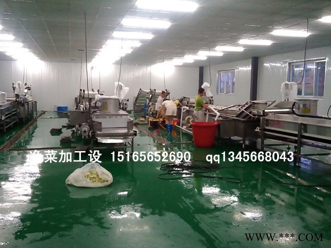 大黄清洗设备大黄清洗机   中药清洗机，佳品供应各种型号食品清洗机图4