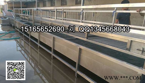 大黄清洗设备大黄清洗机   中药清洗机，佳品供应各种型号食品清洗机图5