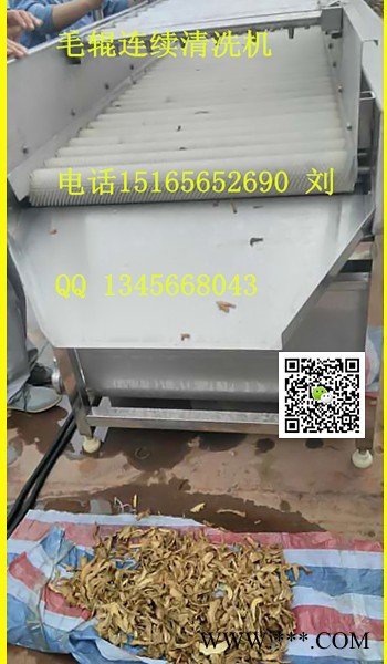 大黄清洗设备大黄清洗机   中药清洗机，佳品供应各种型号食品清洗机图2