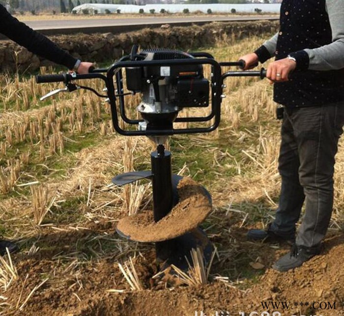 山药挖坑机 硬土质挖坑机 种树打坑机图3