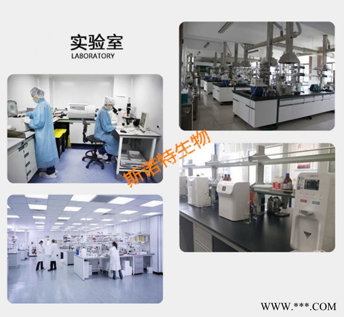 斯诺特 玄参提取物 多糖 玄参粉 厂家包邮图5