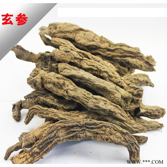 玄参图5