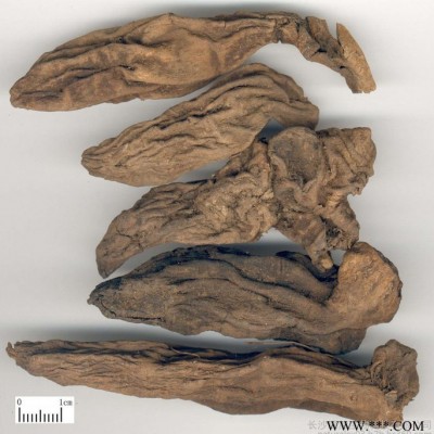 植物提取物厂家供应**含量10:1的玄参提取物植物提取物