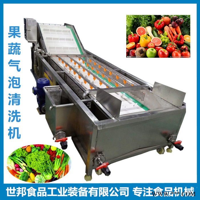 多功能气泡清洗机 山药土豆气泡式清洗 大葱清洗机设备图7