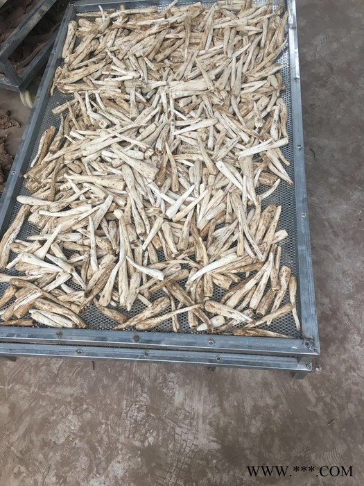 拓青 白芷种子 白芷 四川白芷种子白芷种子种图3