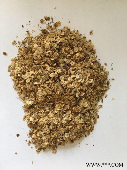 拓青 白芷种子 白芷 四川白芷种子白芷种子种图2