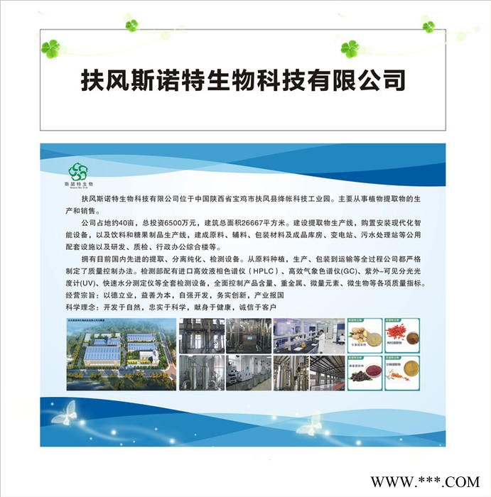 大黄浸膏 大黄提取物 大黄浓缩粉 比重可定制生产图3