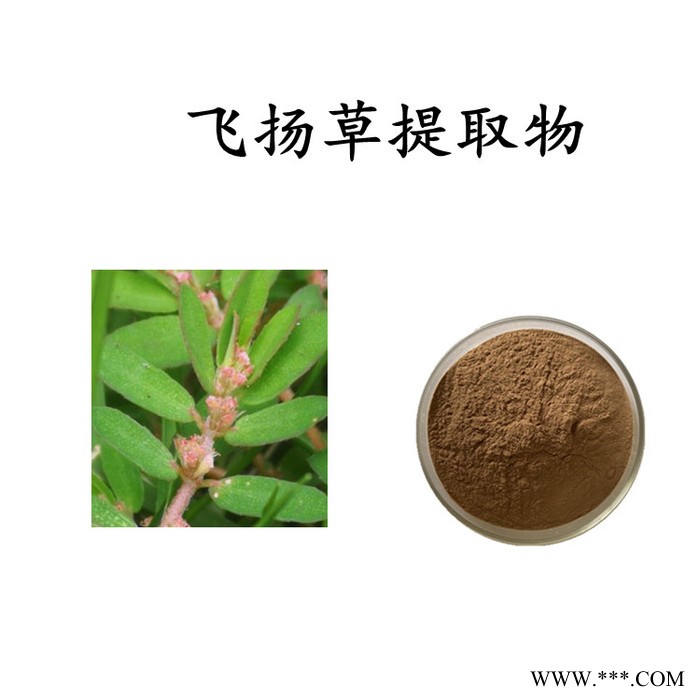 大黄提取物 大黄浸膏粉图4