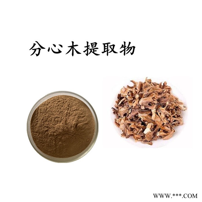 大黄提取物 大黄浸膏粉图2