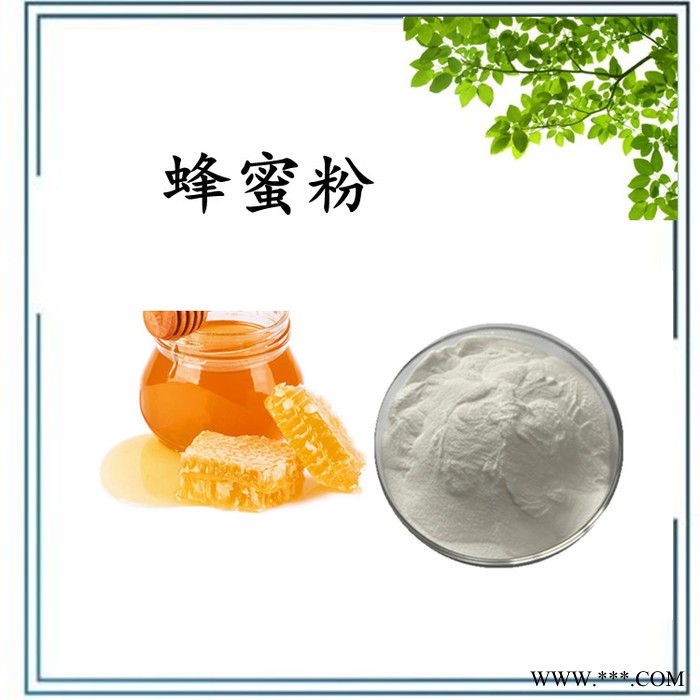 大黄提取物 大黄浸膏粉图3