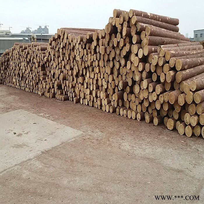 泰安 济南 莱芜 菏泽菜架竹 山药架 豆角架 黄瓜架 小山竹图2