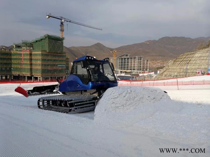 **山东瀚雪110CC亲子卡丁车 可定做大黄鸭图3