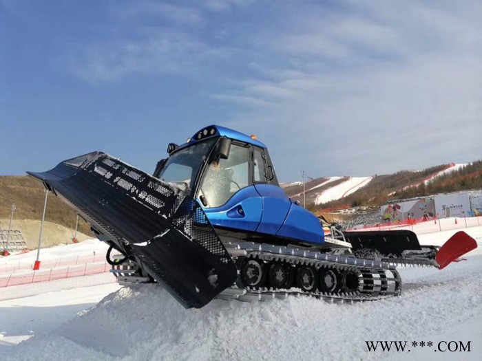 **山东瀚雪110CC亲子卡丁车 可定做大黄鸭图6