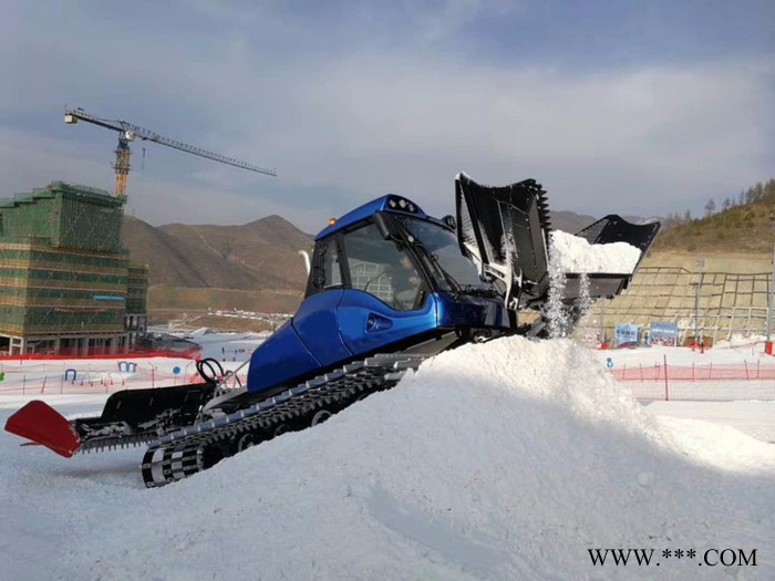 **山东瀚雪110CC亲子卡丁车 可定做大黄鸭图4