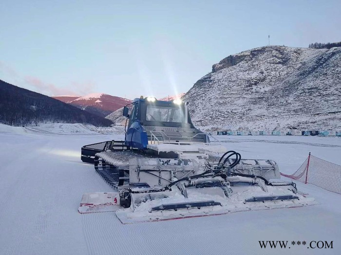 **山东瀚雪110CC亲子卡丁车 可定做大黄鸭图2