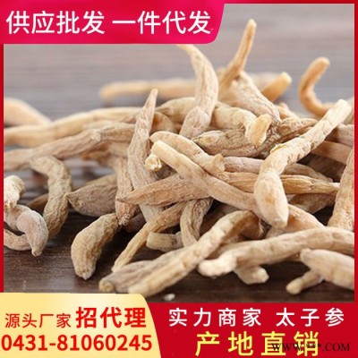 太子参红参高丽参人参鲜参产地吉林长白山批发包装煲汤泡酒炖煮