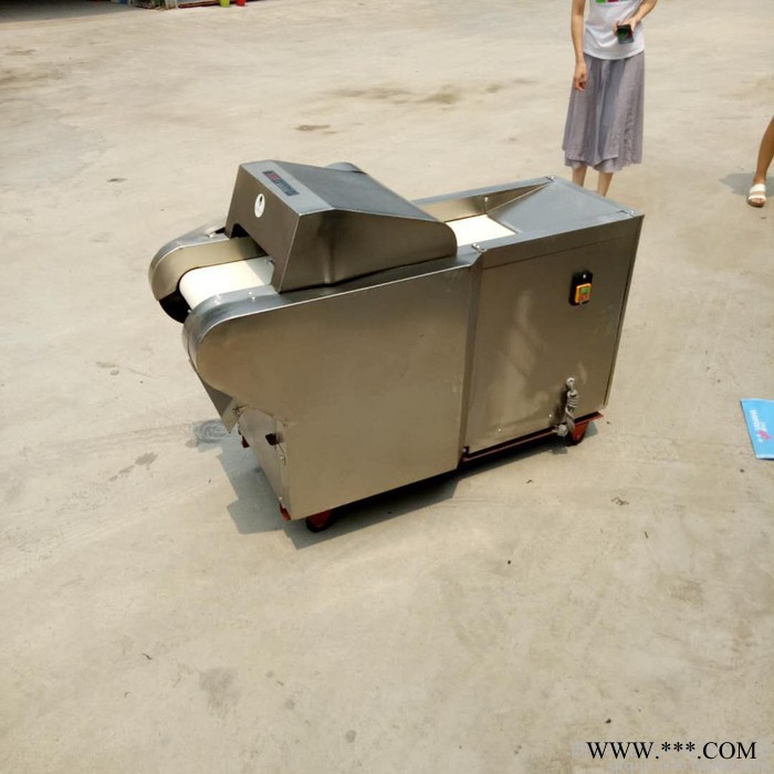 蔬菜切丁切片切丝切段机山药切片机 304不锈钢山药切块机 电动山药切段机图7