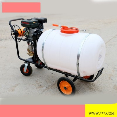 柴油消毒喷雾器  自走式山药大棚喷雾器  喷雾器价格