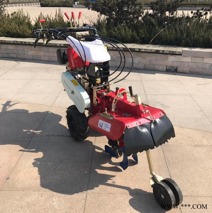 金佳机械JJ-KG大葱生姜开沟机 生姜开沟机 山药链条开沟机价格图7