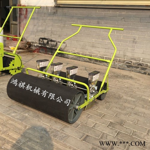 苋菜山药播种机 范县下种量可定做精播机 免间苗菜籽精播机图4