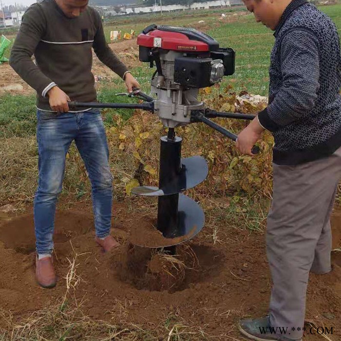 山药切断机厂家 启航香菇切丁机 切葱切姜切蒜机图6