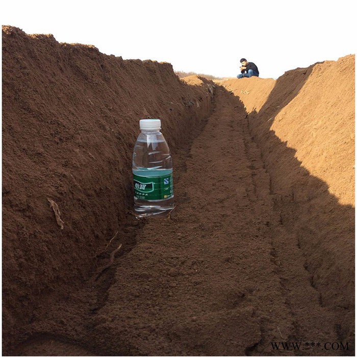 芋头、土豆培土机 大葱开沟机 山药开沟机图6