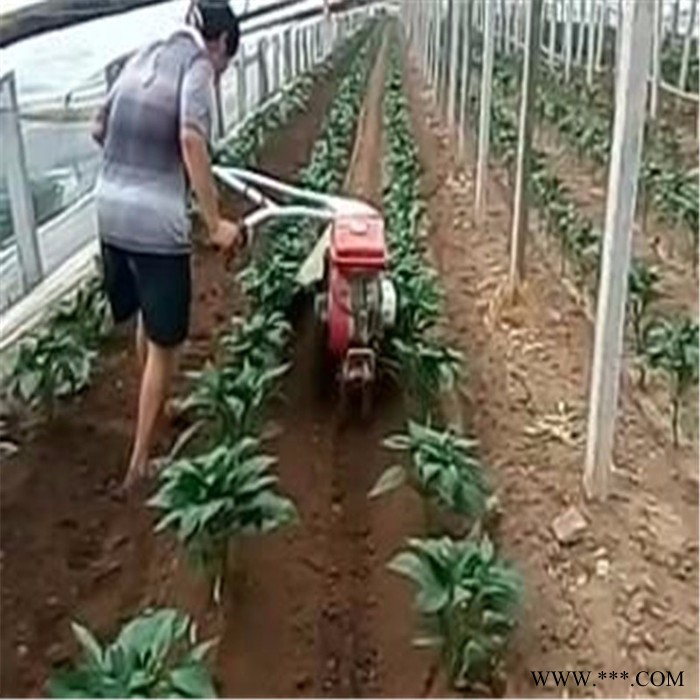 芋头、土豆培土机 大葱开沟机 山药开沟机图4