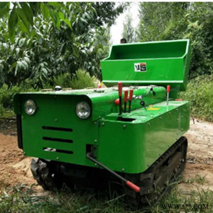 葡萄山药开沟回填机 佳鑫农用山药葡萄开沟施肥机**图5