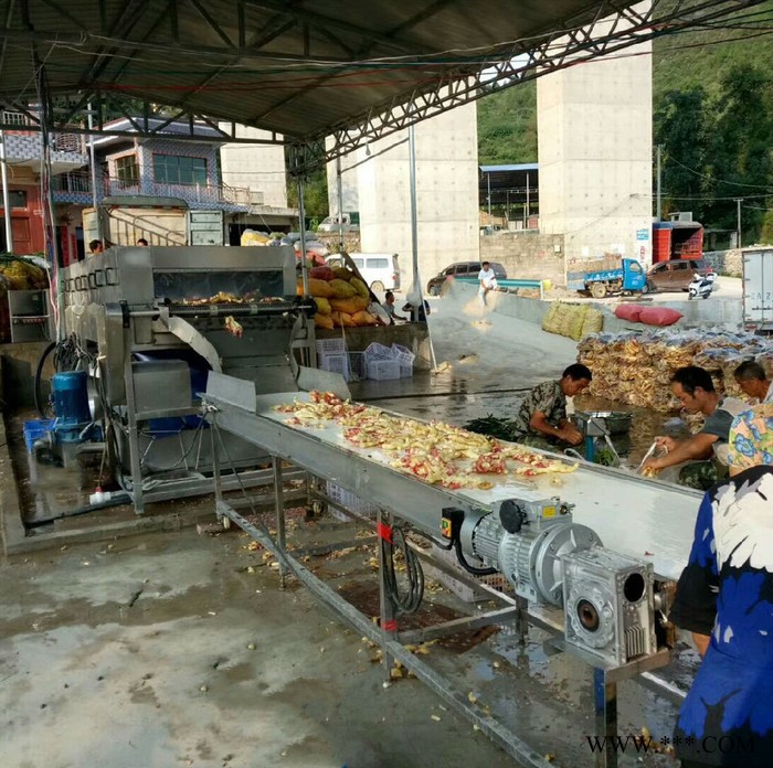 鼎鸿PL-5000型大姜清洗机 铁杆山药清洗机 大葱清洗机 洋姜清洗机 芹菜清洗机 韭菜清洗机 价格优惠图4