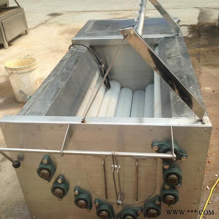 山东诸城不锈钢毛辊清洗机   果蔬清洗机厂家 山药清洗去皮机价格图2