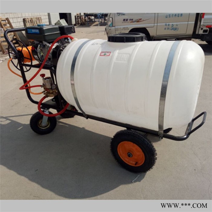 佳硕 韭菜豆角切菜机 山药葛根切片机价格  香菇快速切条机价格图8