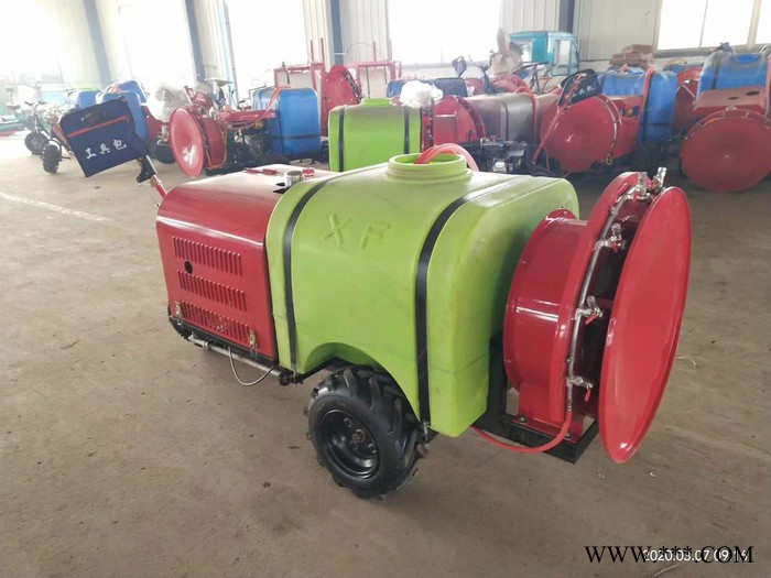 佳硕 韭菜豆角切菜机 山药葛根切片机价格  香菇快速切条机价格图6