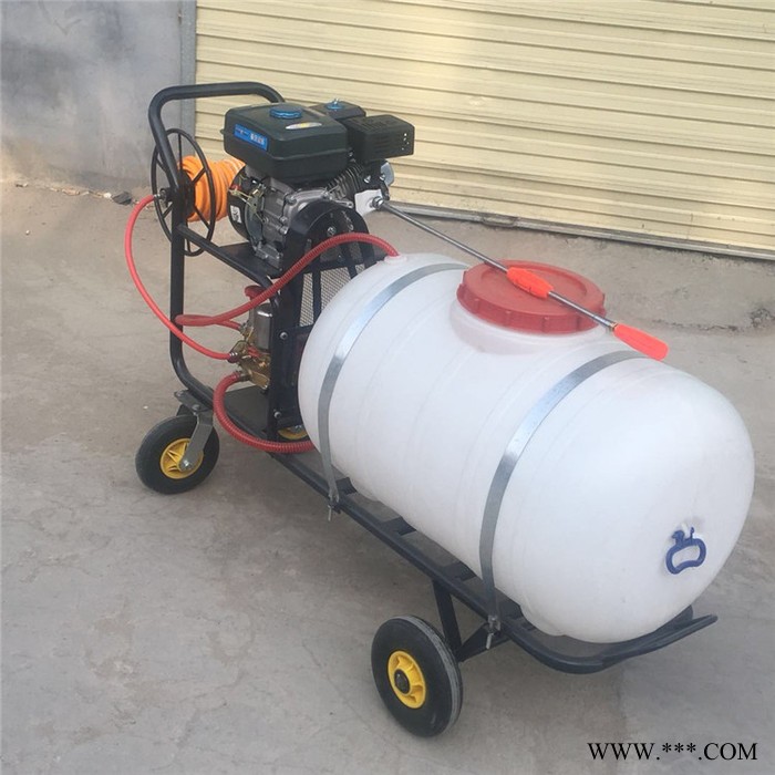 佳硕 韭菜豆角切菜机 山药葛根切片机价格  香菇快速切条机价格图7