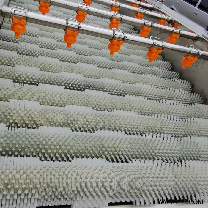 利顺毛辊清洗机厂家 山药土豆果蔬清洗机设备 毛刷去泥红薯清洗机图3