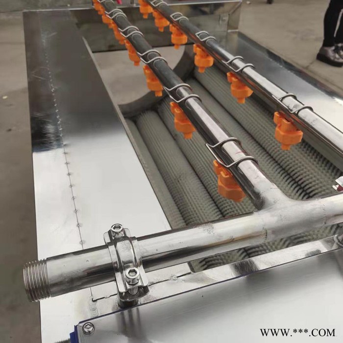 利顺毛辊清洗机厂家 山药土豆果蔬清洗机设备 毛刷去泥红薯清洗机图2