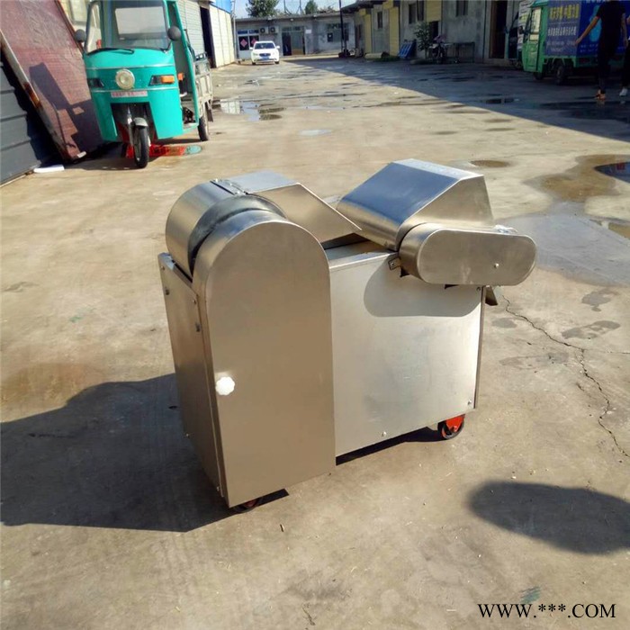 普航牌山药切片机 桃子切丁机 菇切丁机图5