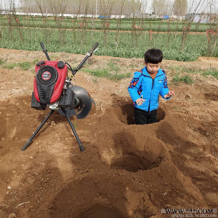 硬土地埋桩挖穴机 启航栽树打桩打眼机 山药挖穴机图4