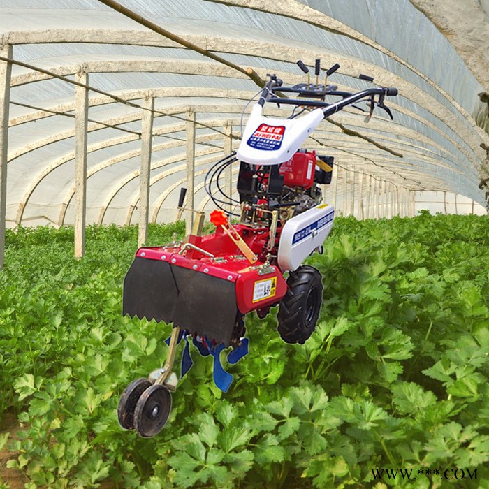 农田用旋耕微耕机 山药种植开沟机  草莓开沟起垄机图4