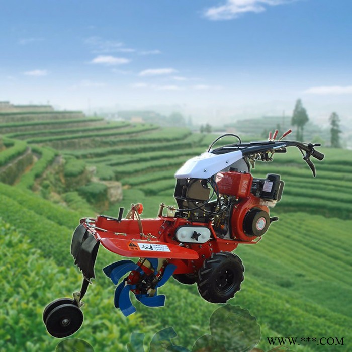 农田用旋耕微耕机 山药种植开沟机  草莓开沟起垄机图5